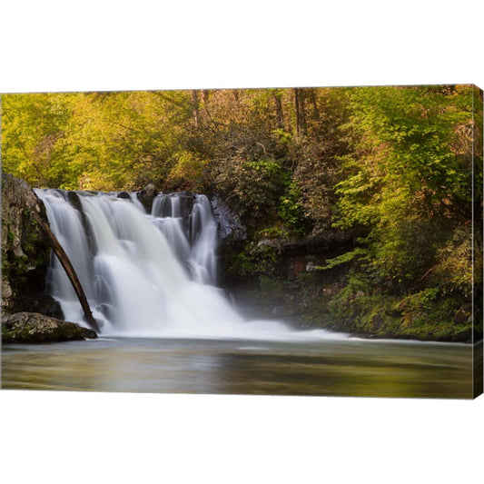 Abrams Falls Landscape, Great Smoky Mountains National Park by Jaynes Gallery / Danita Delimont, Canvas Art