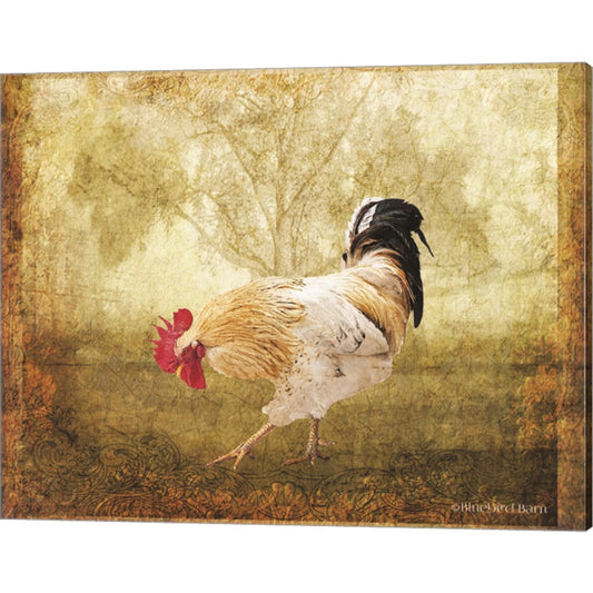 Vintage Scratching Rooster by Bluebird Barn, Canvas Art