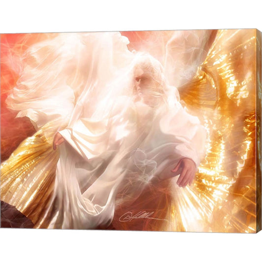 Holy Spirit by Danny Hahlbohm, Canvas Art