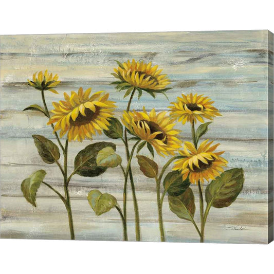 Cottage Sunflowers by Silvia Vassileva, Canvas Art