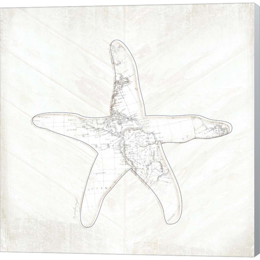 Coastal Starfish by Jennifer Pugh, Canvas Art