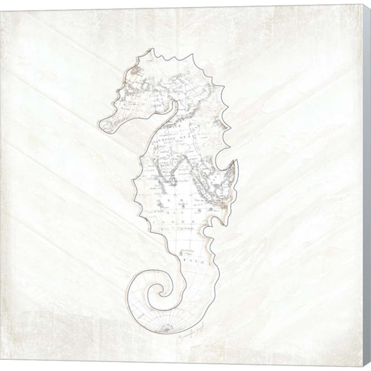 Coastal Seahorse by Jennifer Pugh, Canvas Art