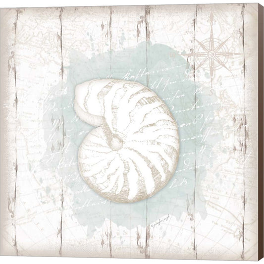 Calming Coastal Shell by Jennifer Pugh, Canvas Art