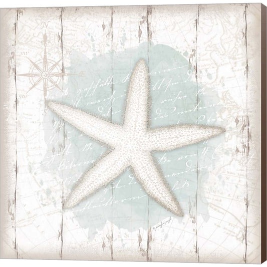 Calming Coastal Starfish by Jennifer Pugh, Canvas Art