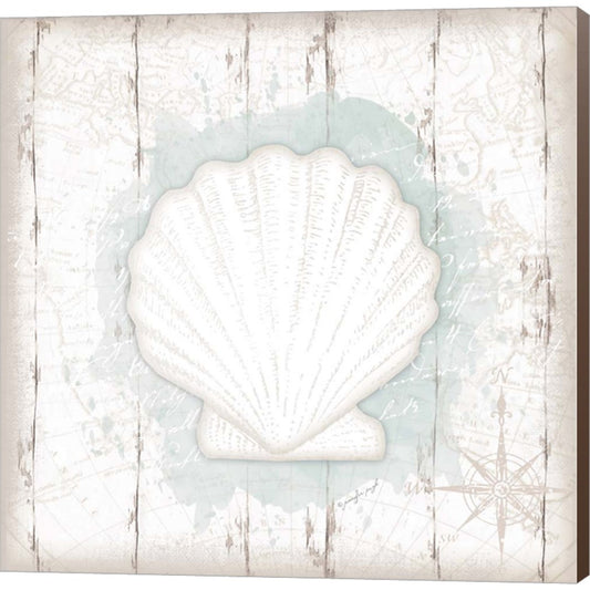 Calming Coastal Shell II by Jennifer Pugh, Canvas Art