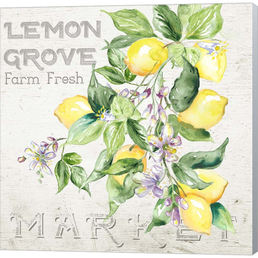 Lemon Grove II by Tre Sorelle Studios, Canvas Art