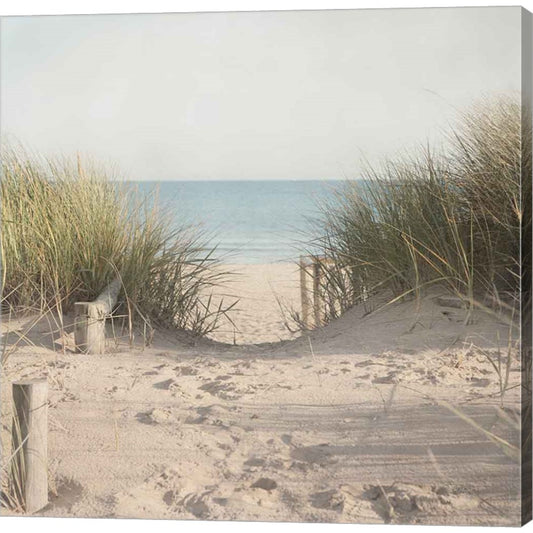 Beach Grasses by Pela Studio, Canvas Art