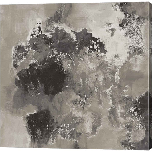 Natural Monotype Dark by Silvia Vassileva, Canvas Art