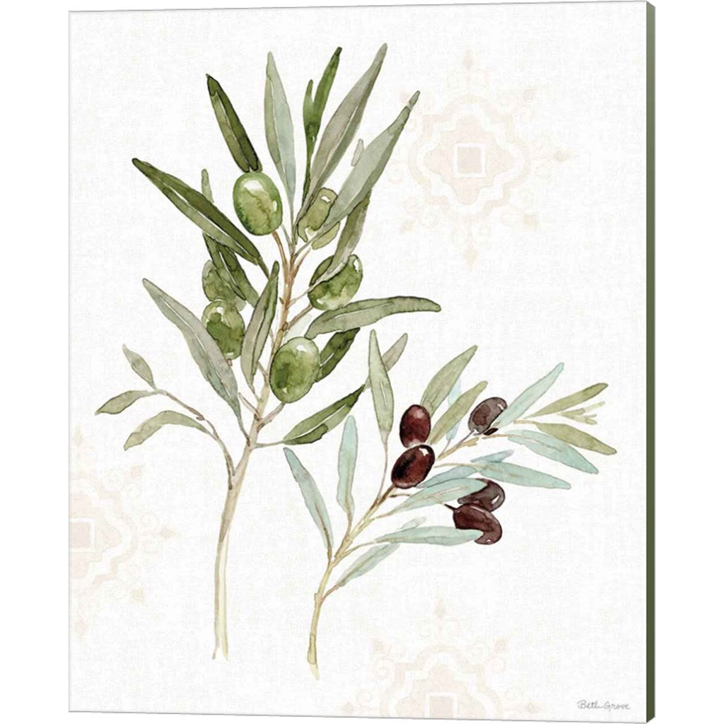 Mediterranean Motif VIII by Beth Grove, Canvas Art