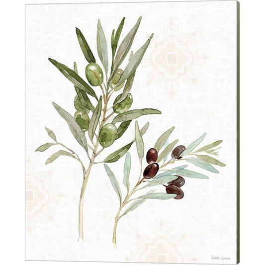 Mediterranean Motif VIII by Beth Grove, Canvas Art