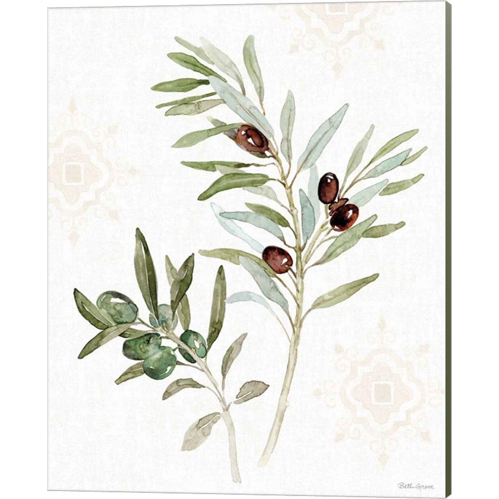 Mediterranean Motif IX by Beth Grove, Canvas Art