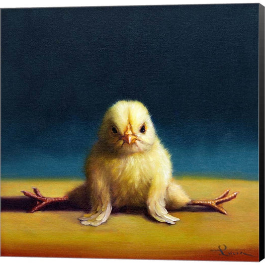 Yoga Chick Front Split by Lucia Heffernan, Canvas Art