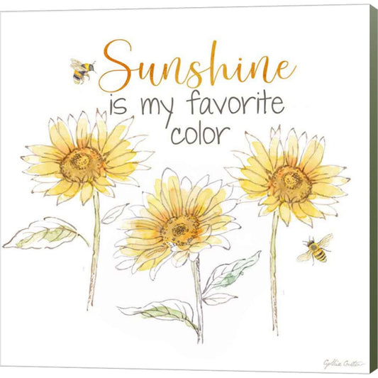 Be My Sunshine VI by Cynthia Coulter, Canvas Art