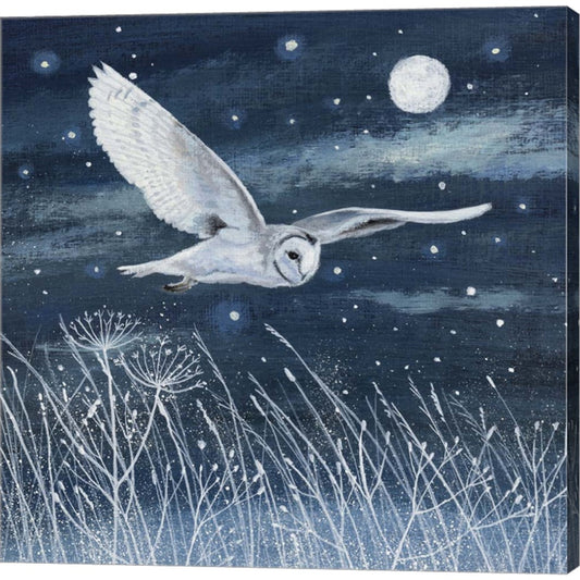 Owl Frost and Stars by Lucy Grossmith, Canvas Art