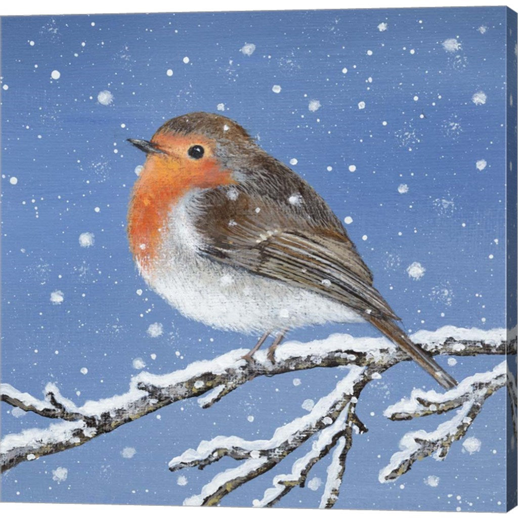 Robin and Snowflakes by Lucy Grossmith, Canvas Art