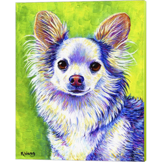 Cute Chihuahua by Rebecca Wang Art, Canvas Art