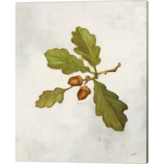 Oak Branch by Julia Purinton, Canvas Art