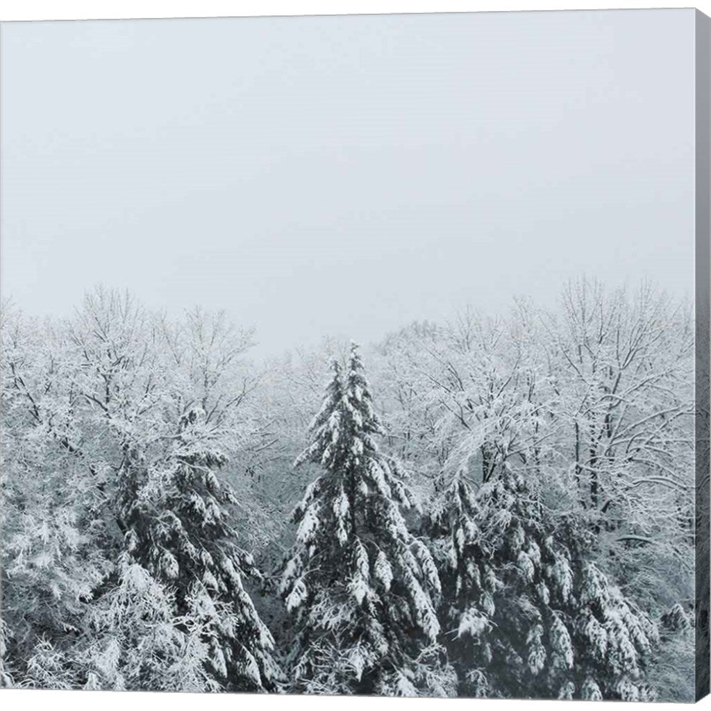 Snowshoe Hill Deep Crop by Sue Schlabach, Canvas Art