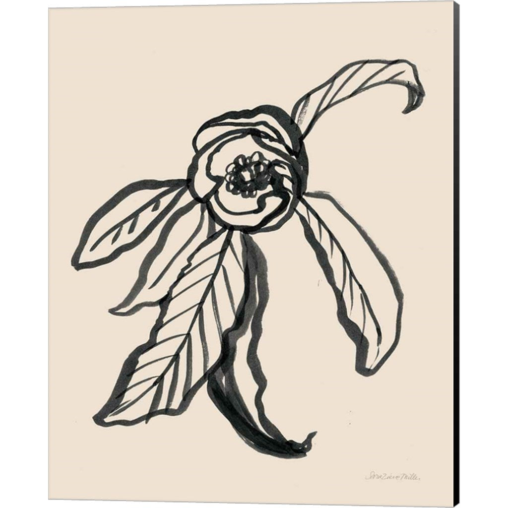 Ink Sketch Flower by Sara Zieve Miller, Canvas Art