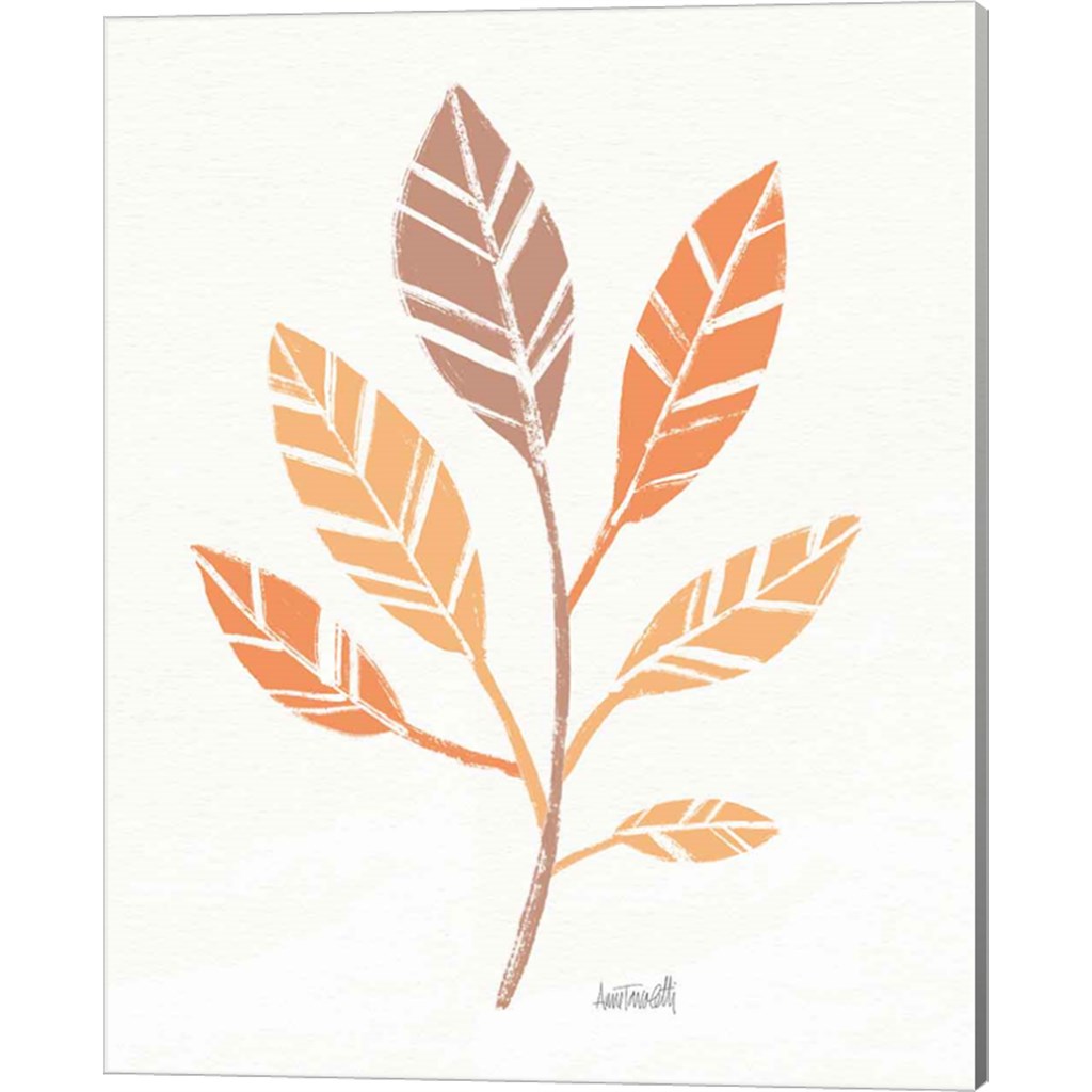 Botanical Sketches III Spice by Anne Tavoletti, Canvas Art