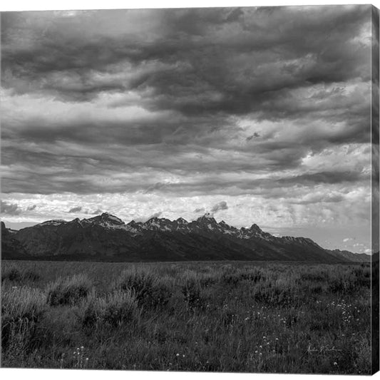 Grand Tetons II by Andre Eichman, Canvas Art