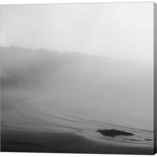 Salt Creek II by Laura Marshall, Canvas Art