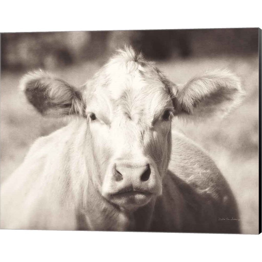 Pasture Cow Neutral by Debra Van Swearingen, Canvas Art