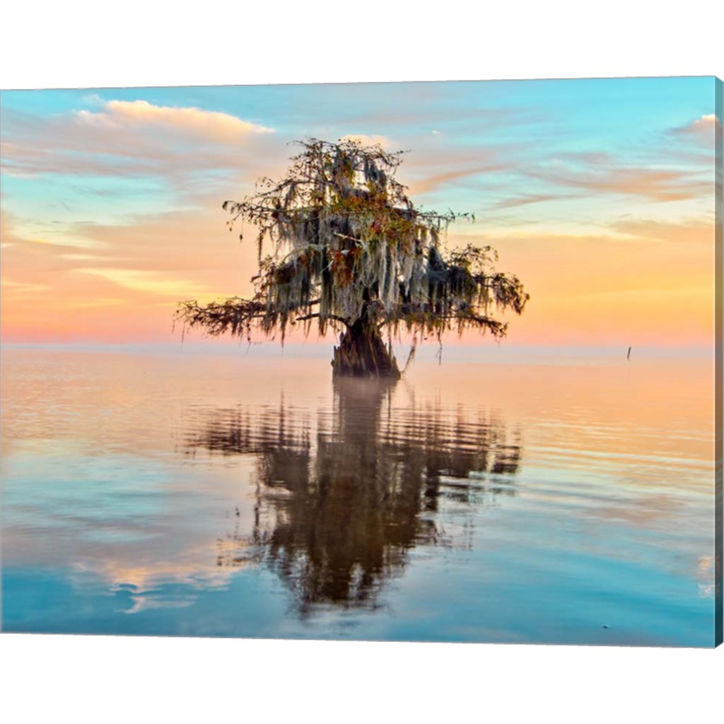 Lake Maurepas in Pastels by Andy Crawford Photography, Canvas Art