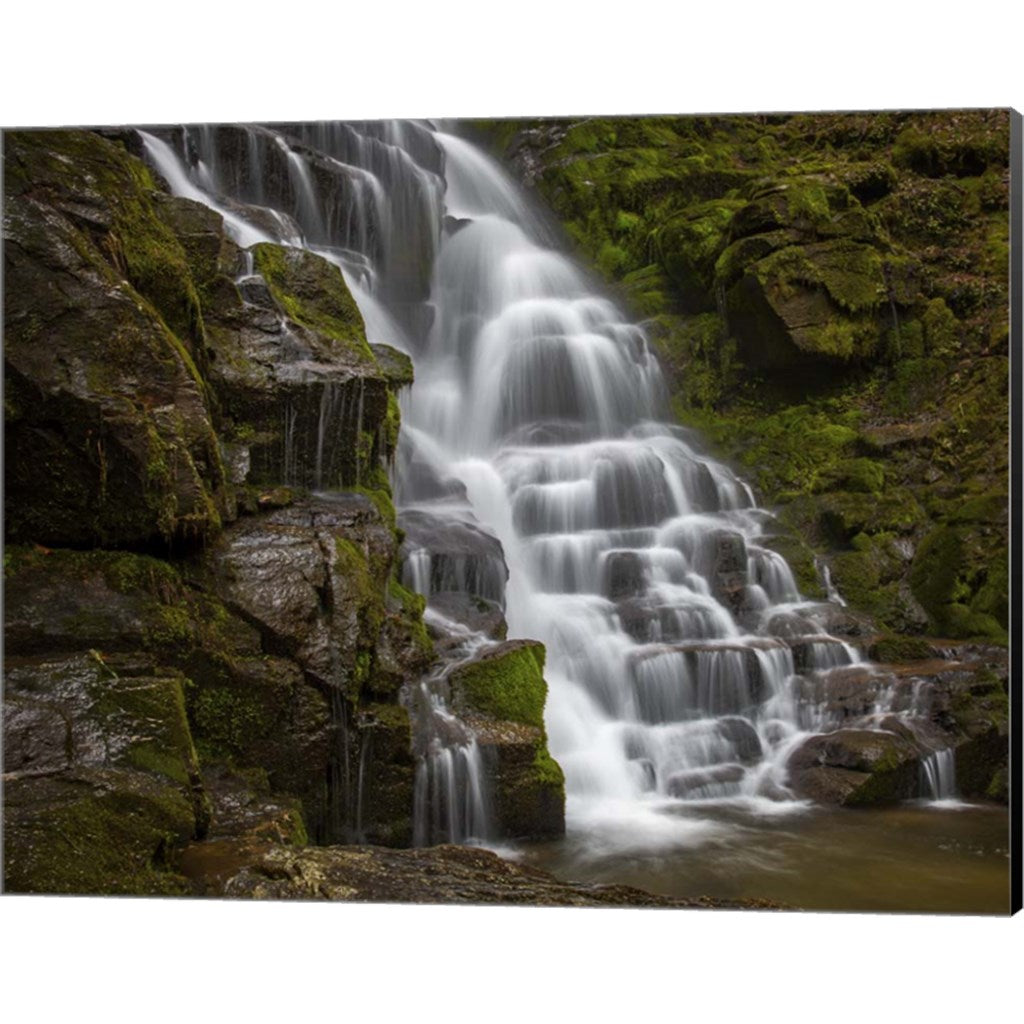 Eastatoe Falls Stairway by Andy Crawford Photography, Canvas Art