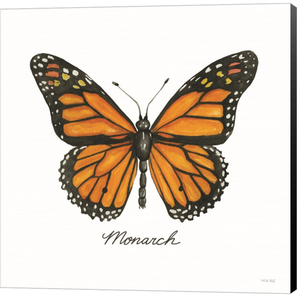 Monarch by Cindy Jacobs, Canvas Art