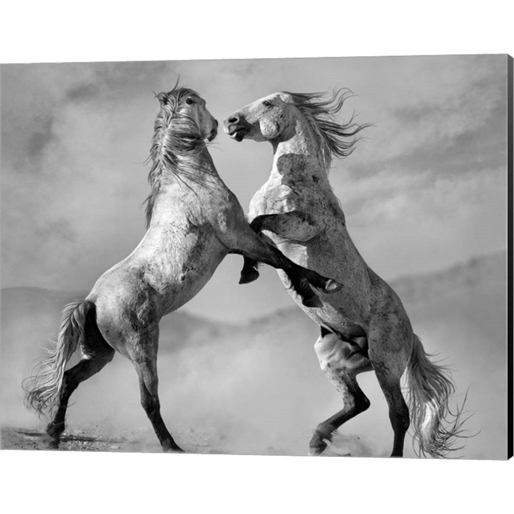 Challengers by Lisa Dearing, Canvas Art