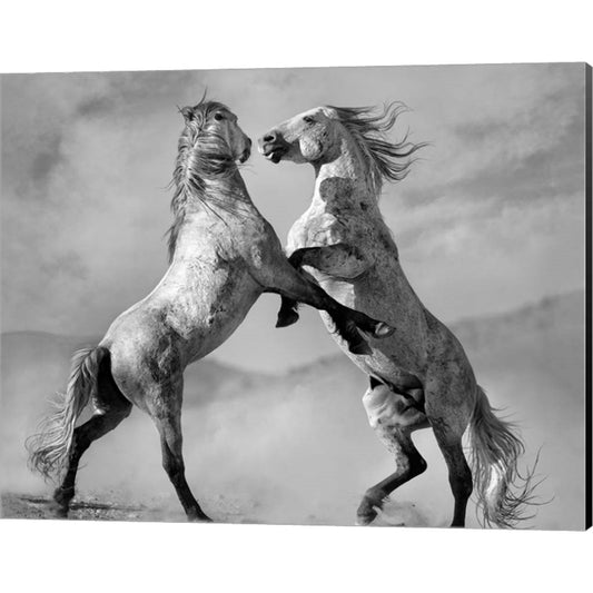 Challengers by Lisa Dearing, Canvas Art