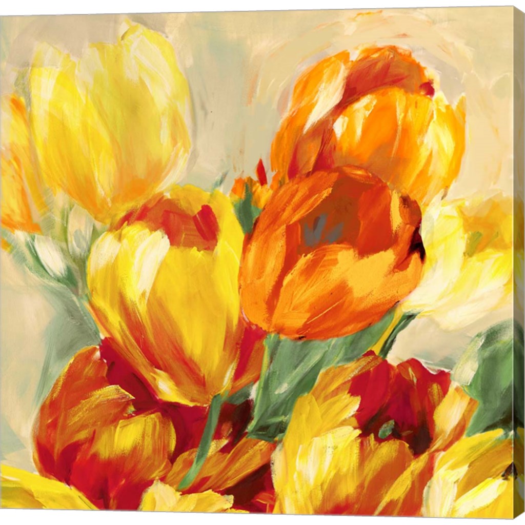 Tulips in the Sun I by Jim Stone, Canvas Art