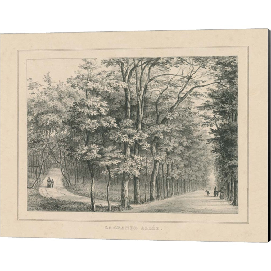 French Park Etching II by Wild Apple Portfolio, Canvas Art