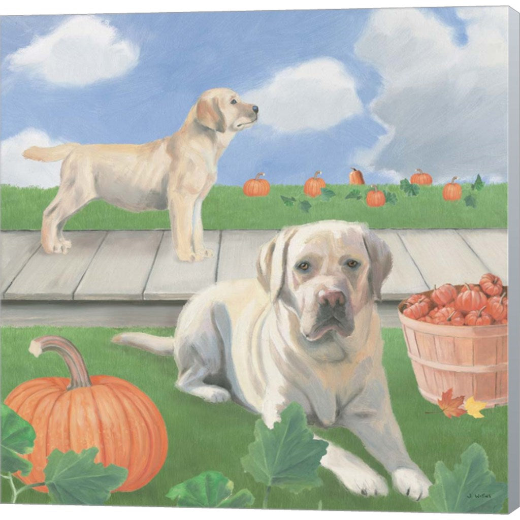 Fall at the Farm II by James Wiens, Canvas Art