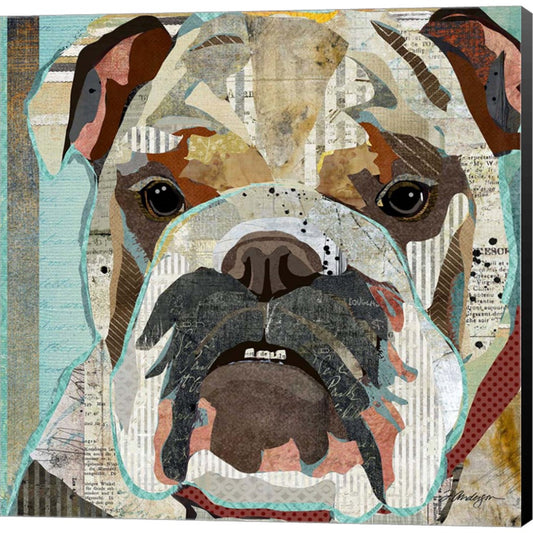 English Bulldog by Traci Anderson, Canvas Art