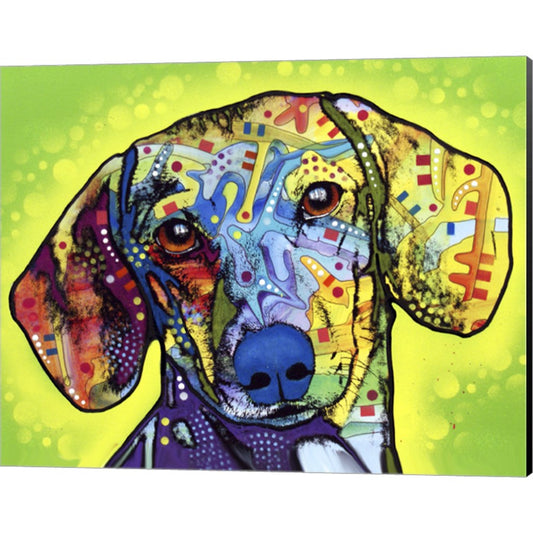 Dachshund by Dean Russo, Canvas Art