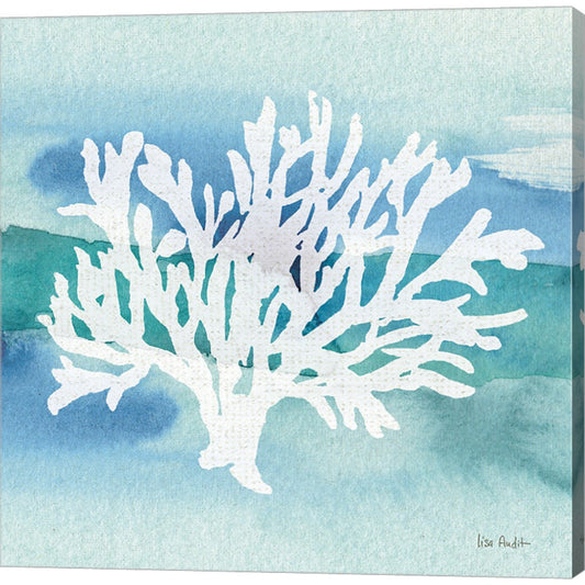 Sea Life Coral II by Lisa Audit, Canvas Art