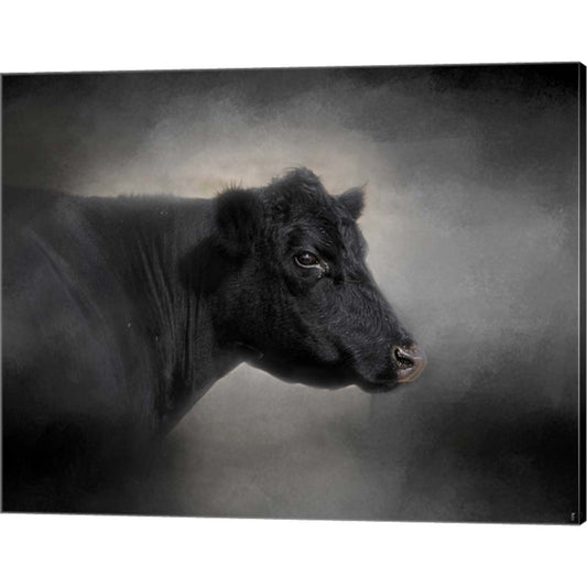 Portrait Of The Black Angus by Jai Johnson, Canvas Art