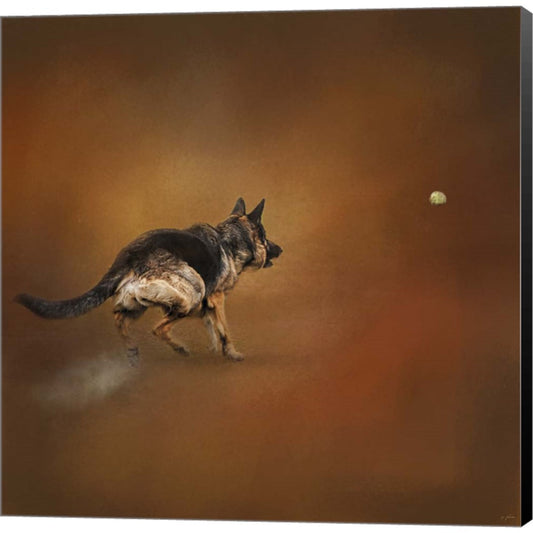 Gimme That Ball German Shepherd by Jai Johnson, Canvas Art