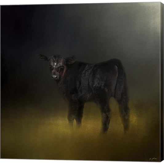 Black Angus Calf In The Moonlight by Jai Johnson, Canvas Art