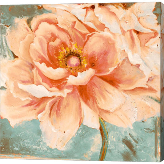 Beautiful Peonies Square I by Patricia Pinto, Canvas Art