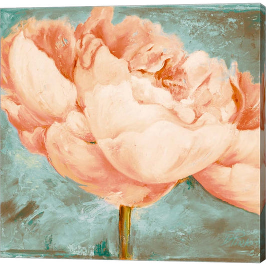 Beautiful Peonies Square II by Patricia Pinto, Canvas Art