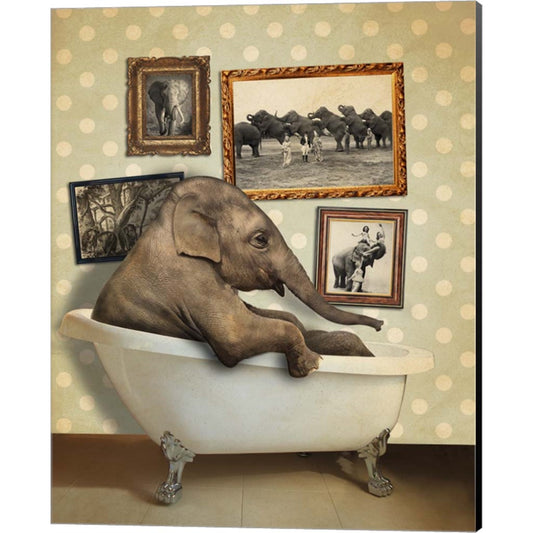 Elephant In Tub by J Hovenstine Studios, Canvas Art