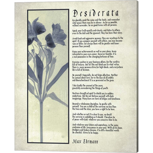 Desiderata Blue Daguerreotype by Quote Master, Canvas Art