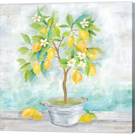 Country Lemon Tree by Cynthia Coulter, Canvas Art