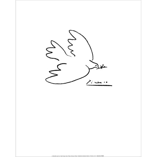 Dove of Peace by Pablo Picasso, Unframed Print