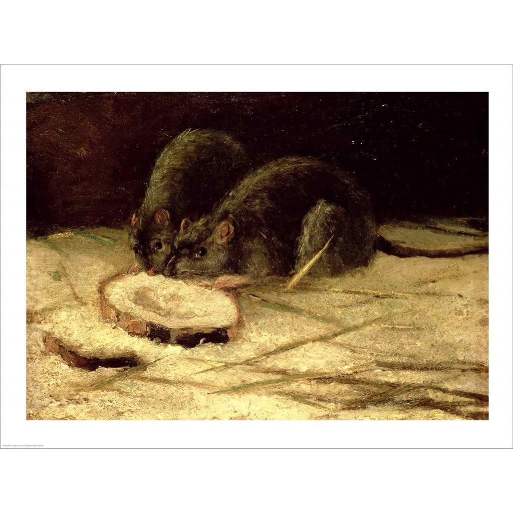 Two Rats by Vincent Van Gogh, Unframed Print