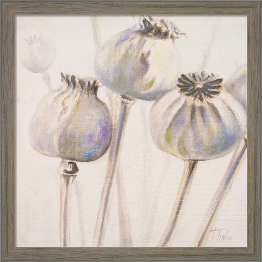 Poppy Seeds I by Patricia Pinto, Framed Art