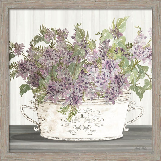 Lilac Galvanized Pot by Cindy Jacobs, Framed Art